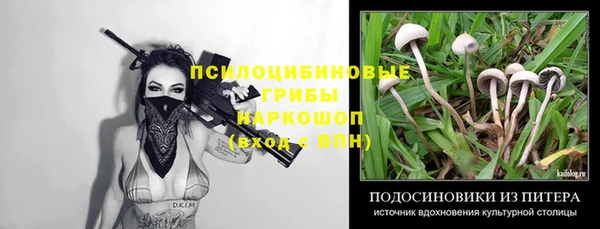 не бодяженный Алексин