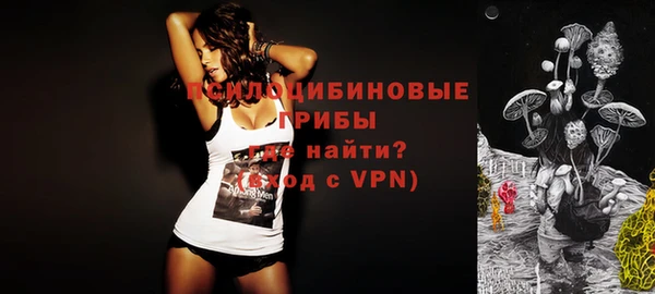 не бодяженный Алексин