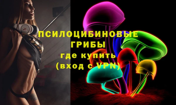 гашик Алексеевка